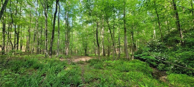 20-A Vineyard Rd, Dallas, GA 30132