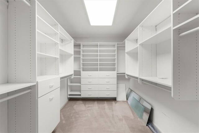 spacious closet featuring carpet flooring