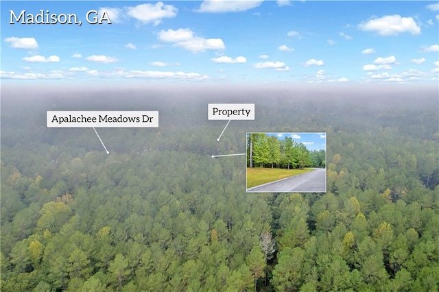 Listing photo 3 for 1130 Apalachee Meadows Dr, Madison GA 30650