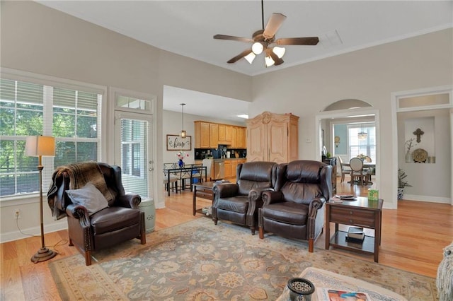 125 Rabbits Run, Fayetteville, GA 30215 - living room with plenty of natural light, a ceiling fan, baseboards, and crown molding