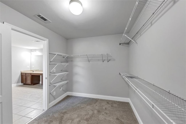 spacious closet featuring light colored carpet and sink