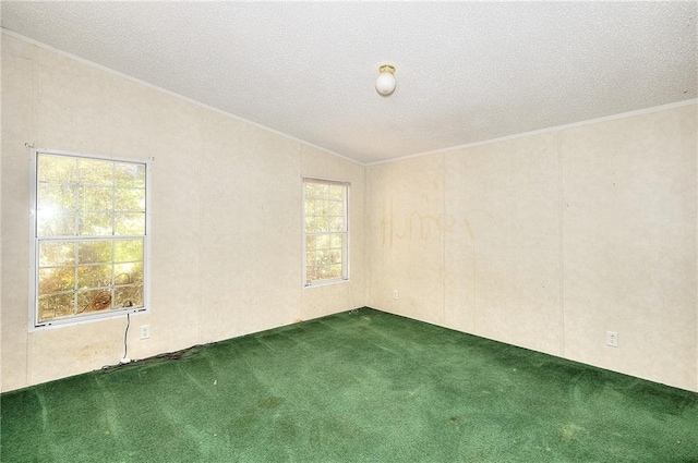 carpeted empty room with a textured ceiling and vaulted ceiling