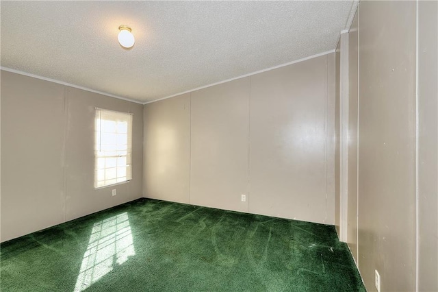 carpeted empty room featuring a textured ceiling and ornamental molding