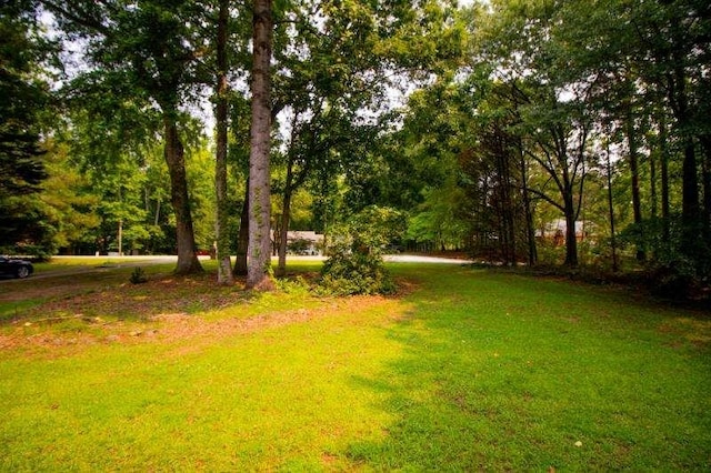 20 Lisa Ct, Stockbridge, GA 30281 - view of grassy yard