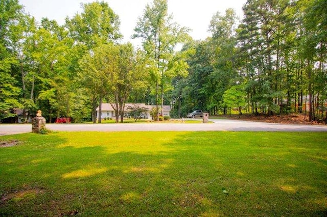 20 Lisa Ct, Stockbridge, GA 30281 - view of community with a lawn