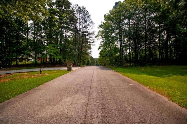 20 Lisa Ct, Stockbridge, GA 30281 - view of asphalt road