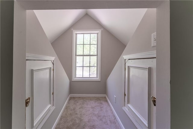 additional living space featuring baseboards, a wealth of natural light, vaulted ceiling, and carpet