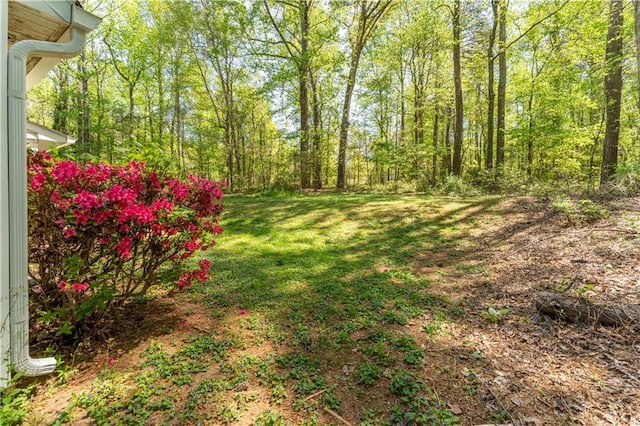 view of yard with a forest view