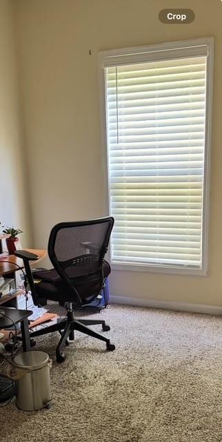 443 Marsh Lake Rd, Lawrenceville, GA 30045 - office with carpet floors