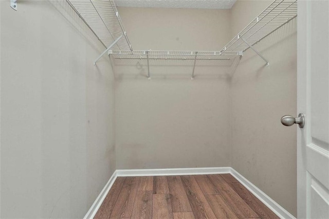 2551 Luther Bailey Rd, Senoia, GA 30276 - walk in closet featuring dark wood-style floors