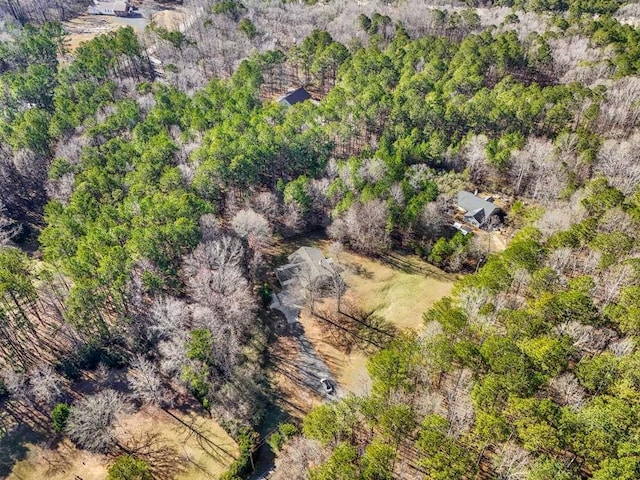 2551 Luther Bailey Rd, Senoia, GA 30276 - aerial view