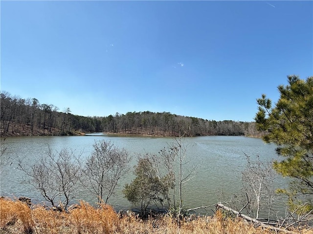 view of water feature with a view of trees