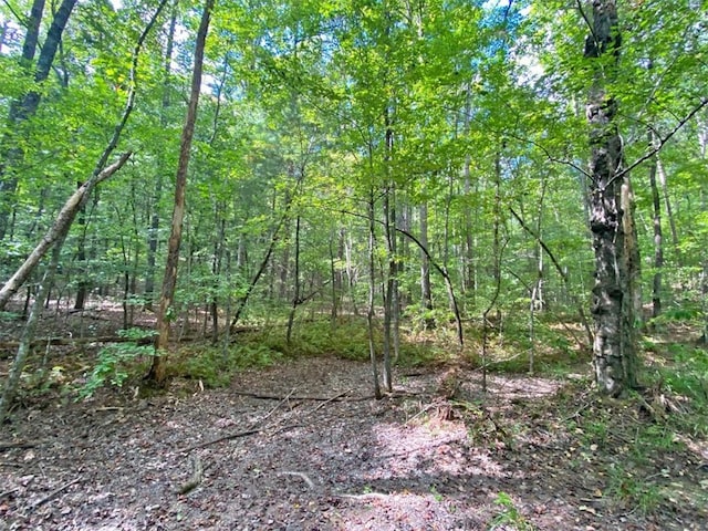 Listing photo 2 for 153AC White Path Rd, Ellijay GA 30540