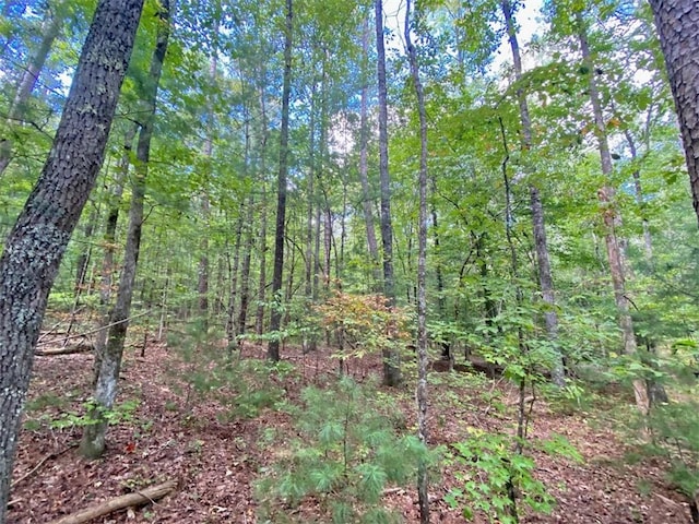 Listing photo 3 for 153AC White Path Rd, Ellijay GA 30540