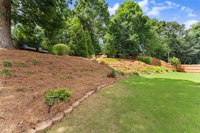 2213 Independence Ln, Buford, GA 30519 - view of yard