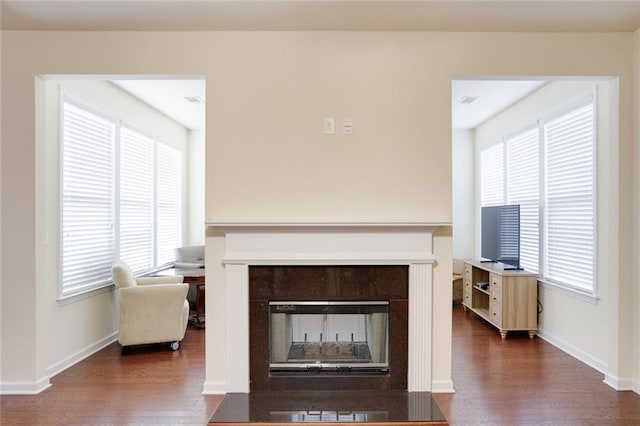 living room featuring dark wood-type flooring and a fireplace