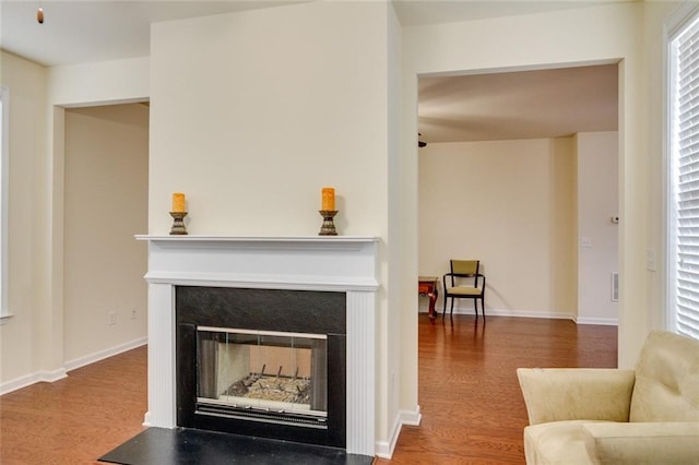 living room featuring wood-type flooring