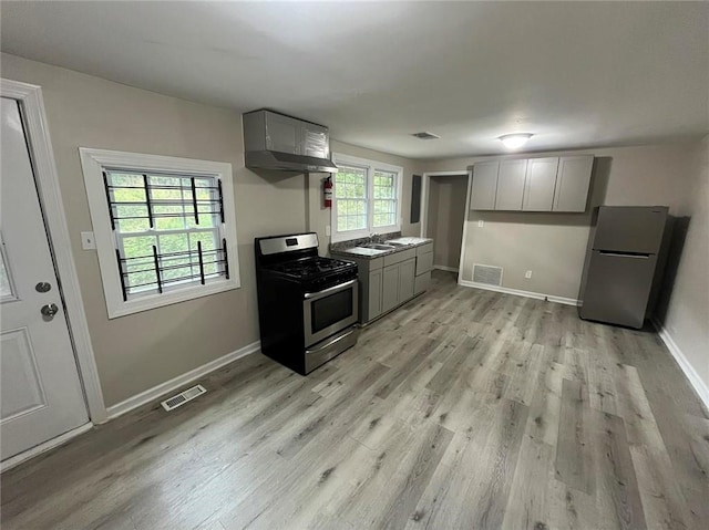 kitchen with sink, a wealth of natural light, gray cabinets, and stainless steel appliances