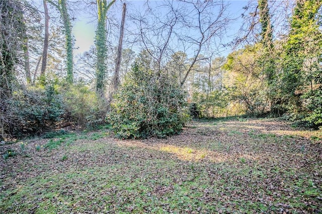 view of yard with a forest view