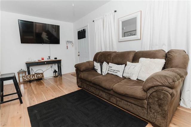 living room with hardwood / wood-style floors