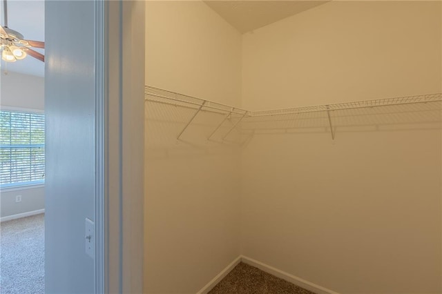 walk in closet with carpet floors and ceiling fan