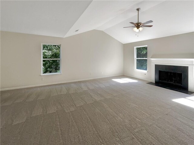 unfurnished bedroom with carpet, a raised ceiling, and a closet