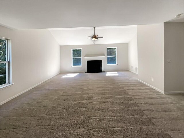 unfurnished room featuring a tray ceiling and carpet