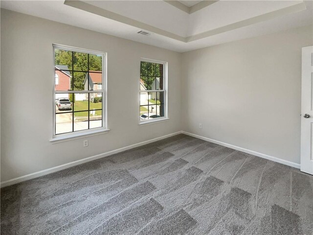 unfurnished bedroom with a raised ceiling and carpet floors