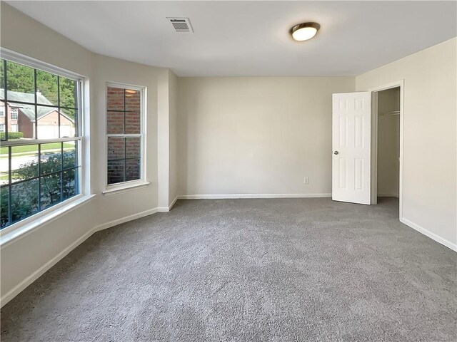 spacious closet with carpet flooring