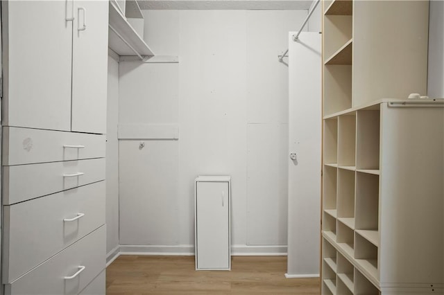 spacious closet with light wood finished floors