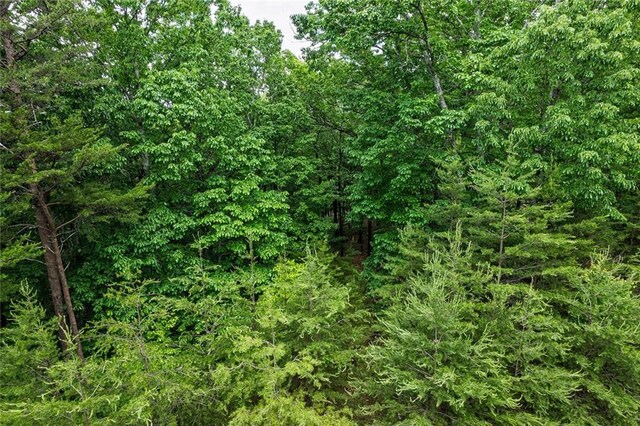 0 Ridgeside Ct, Jasper, GA 30143