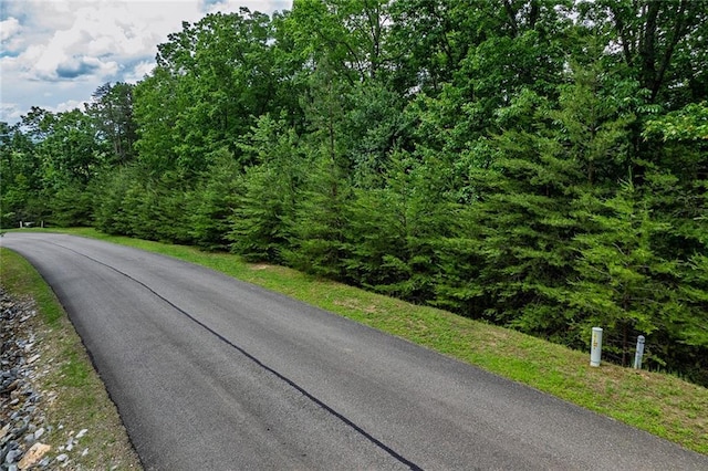 0 Ridgeside Ct, Jasper, GA 30143