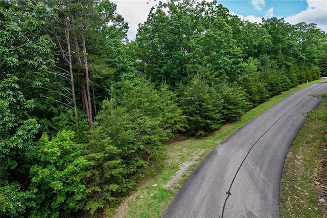 0 Ridgeside Ct, Jasper, GA 30143