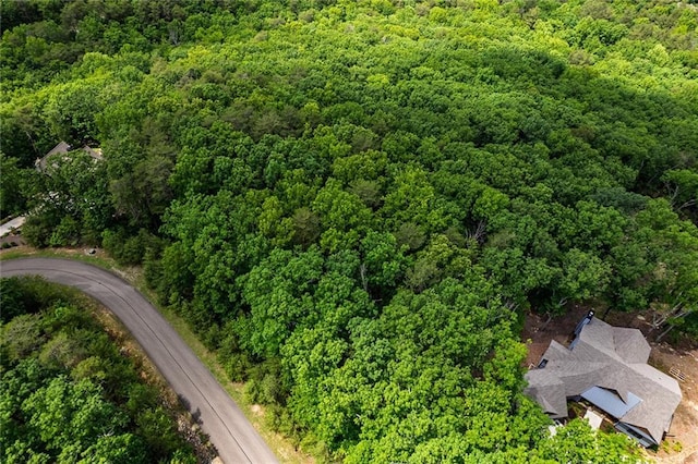 0 Ridgeside Ct, Jasper, GA 30143