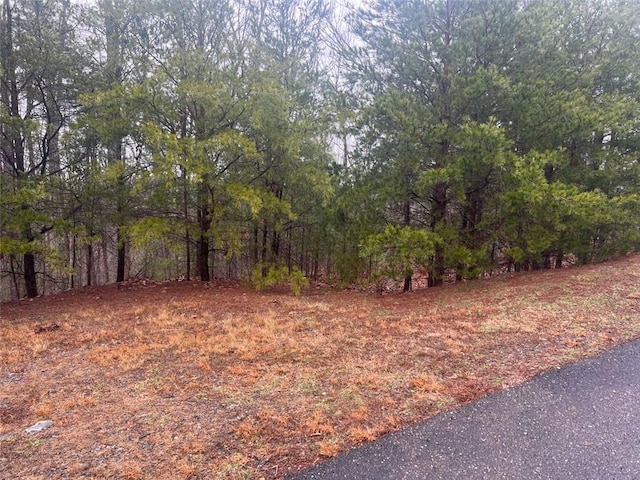 0 Ridgeside Ct, Jasper, GA 30143