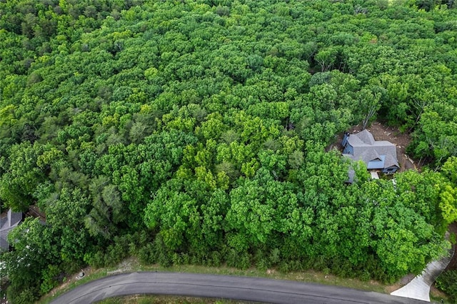 0 Ridgeside Ct, Jasper, GA 30143