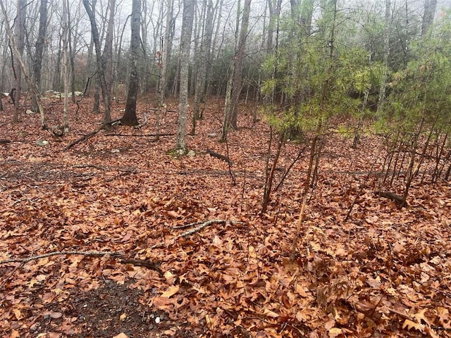 0 Ridgeside Ct, Jasper, GA 30143