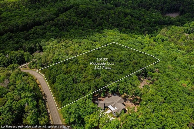 0 Ridgeside Ct, Jasper, GA 30143