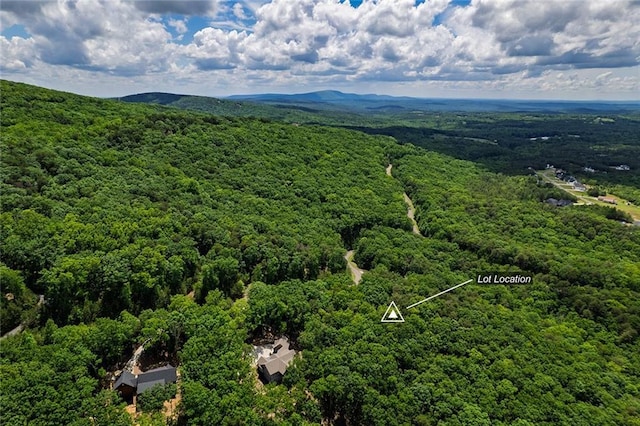 0 Ridgeside Ct, Jasper, GA 30143