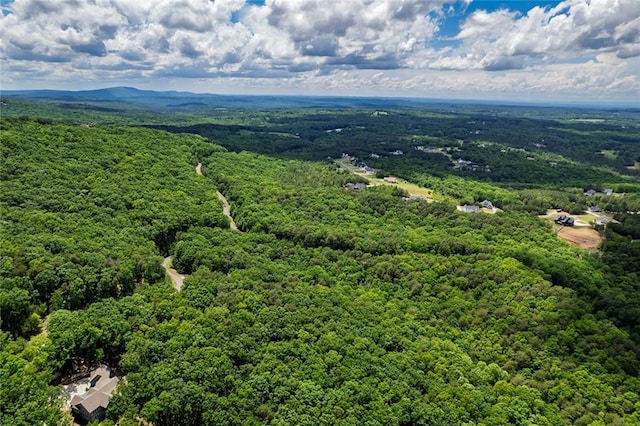 0 Ridgeside Ct, Jasper, GA 30143