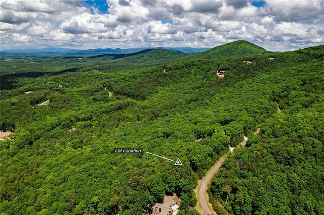 0 Ridgeside Ct, Jasper, GA 30143
