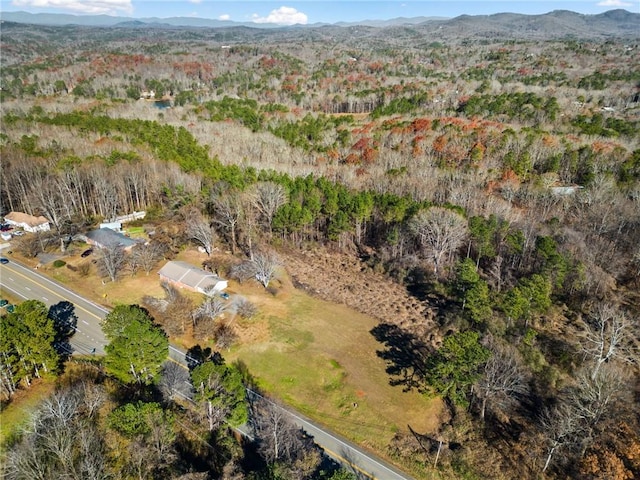 2372 Talking Rock Rd, Talking Rock GA, 30175 land for sale