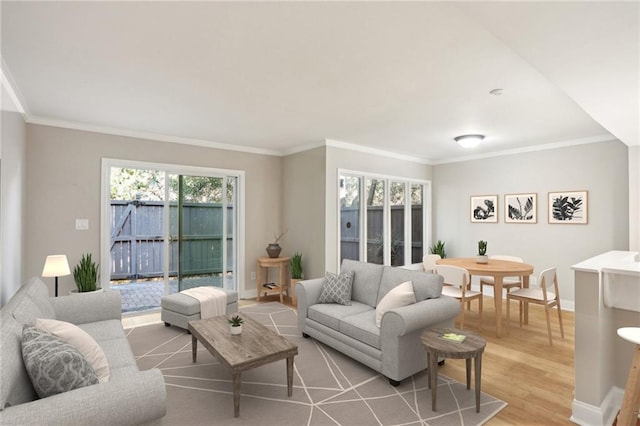 living room featuring light wood-style floors, baseboards, and crown molding