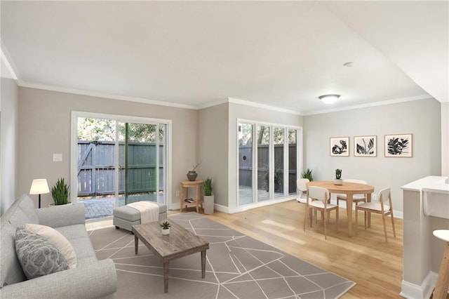 living area featuring ornamental molding, light wood-type flooring, and baseboards