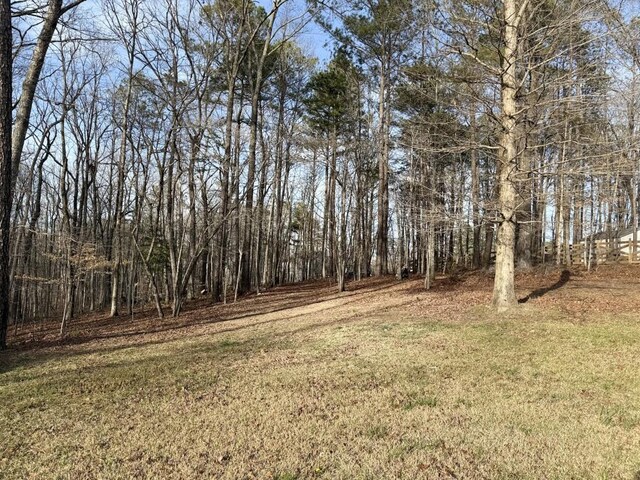 410 Spring Lake Hls, Canton, GA 30114 - view of yard