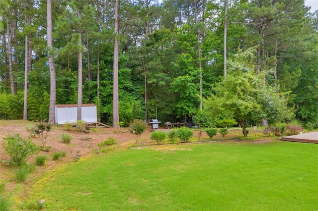 1164 Otis Dr, Bethlehem, GA 30620 - view of green lawn with a forest view and a storage unit