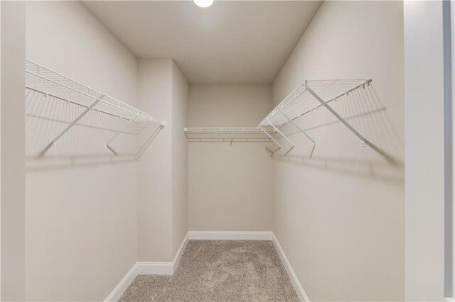 walk in closet featuring light colored carpet