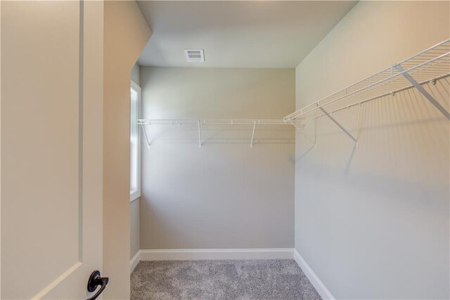 walk in closet with carpet