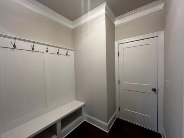 mudroom with dark wood-type flooring and crown molding