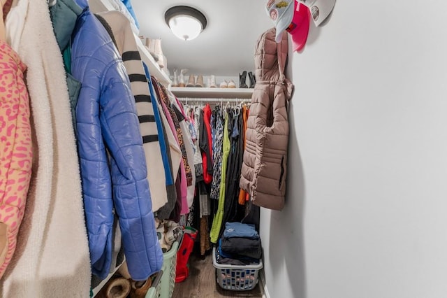 spacious closet with hardwood / wood-style floors